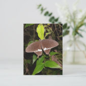 vlinder briefkaart (Staand voorkant)