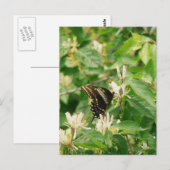 Vlinder Briefkaart (Voorkant / Achterkant)