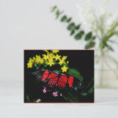 Vlinder Briefkaart (Staand voorkant)