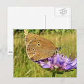 Vlinder Briefkaart (Voorkant / Achterkant)