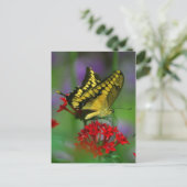 vlinder briefkaart (Staand voorkant)