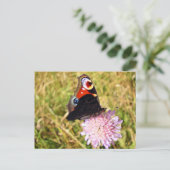 Vlinder Briefkaart (Staand voorkant)