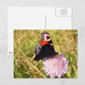 Vlinder Briefkaart (Voorkant / Achterkant)