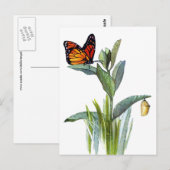 vlinder briefkaart (Voorkant / Achterkant)