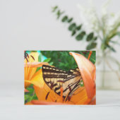 Vlinder Briefkaart (Staand voorkant)