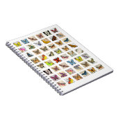 vlinder briefkaart ephemera collage notitieboek (Rechterzijde)