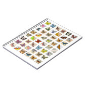 vlinder briefkaart ephemera collage notitieboek (Linkerzijde)