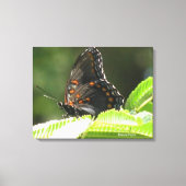 vlinder canvas afdruk (Voorkant)