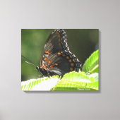 vlinder canvas afdruk (Voorkant)