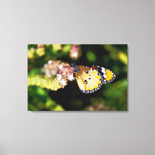Vlinder Canvas Afdruk
