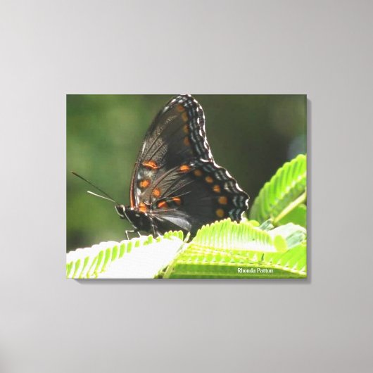 vlinder canvas afdruk (Voorkant)