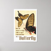 vlinder citaten canvas print (Voorkant)