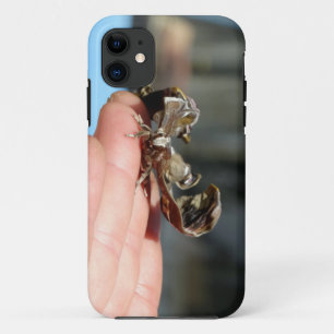 Vlinder Cocoon Foto iPhone SE + iPhone 5/5S 11 Hoesje
