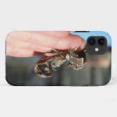 Vlinder Cocoon Foto iPhone SE + iPhone 5/5S Case-Mate iPhone Case (Achterkant (horizontaal))