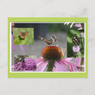 Vlinder-Collage DIY-Ansichtskaart met Landkaartje Feestdagenkaart