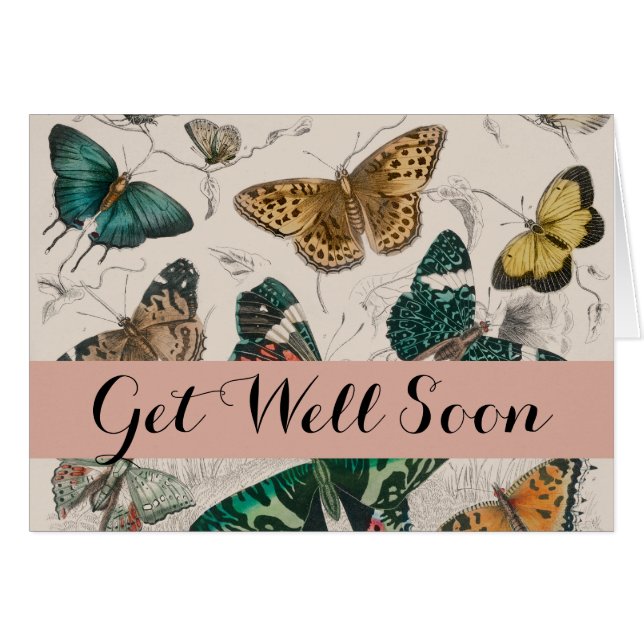 Vlinder Collectie Antiek Vlinders (Voorkant Horizontaal)