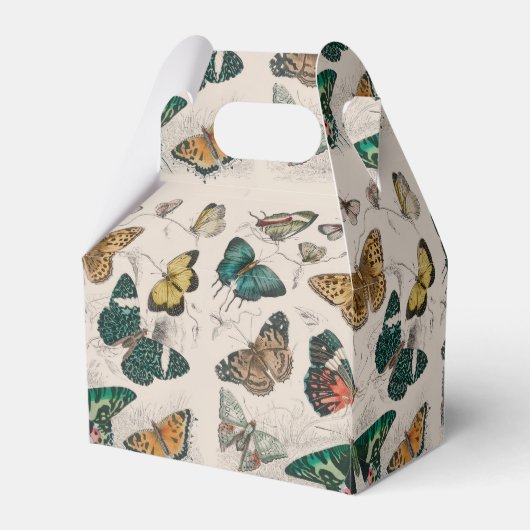 Vlinder Collectie Antiek Vlinders Bedankdoosjes (Achterkant)