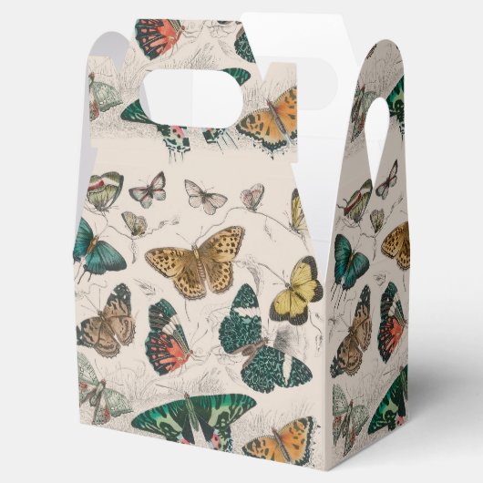 Vlinder Collectie Antiek Vlinders Bedankdoosjes (Geopend)