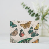 Vlinder Collectie Antiek Vlinders Briefkaart (Staand voorkant)
