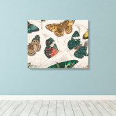 Vlinder Collectie Antiek Vlinders Canvas Afdruk (Insitu (Houten vloer))