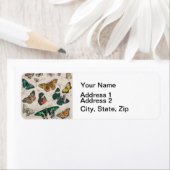 Vlinder Collectie Antiek Vlinders Etiket (Insitu)