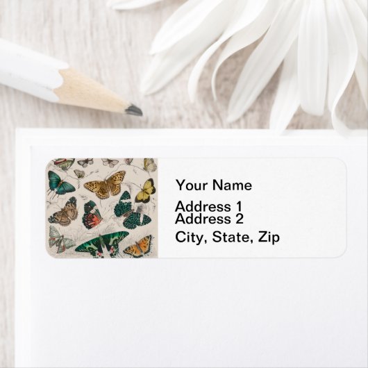 Vlinder Collectie Antiek Vlinders Etiket (Insitu)