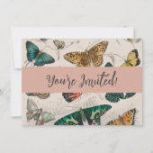 Vlinder Collectie Antiek Vlinders Kaart (Voorkant)