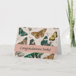 Vlinder Collectie Antiek Vlinders Kaart