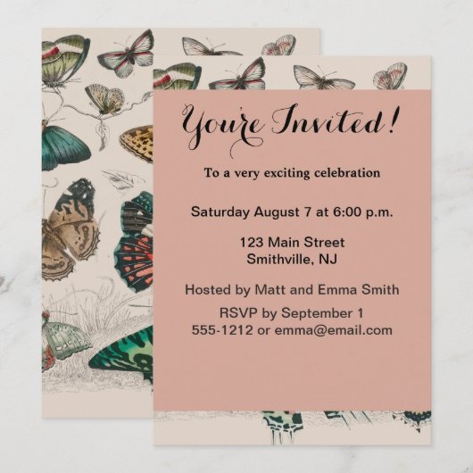 Vlinder Collectie Antiek Vlinders Kaart (Voorkant / Achterkant)