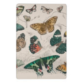 Vlinder Collectie Antiek Vlinders Mini Klembord (Achterkant)