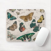 Vlinder Collectie Antiek Vlinders Muismat (Met muis)