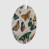 Vlinder Collectie Antiek Vlinders Ornament (voorkant)