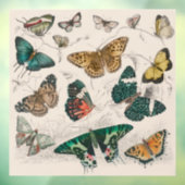 Vlinder Collectie Antiek Vlinders Raamsticker (Vel 3)