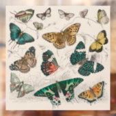 Vlinder Collectie Antiek Vlinders Raamsticker (Vel 2)