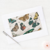 Vlinder Collectie Antiek Vlinders Rechthoekige Sticker (Envelop)