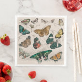 Vlinder Collectie Antiek Vlinders Servet (Insitu)