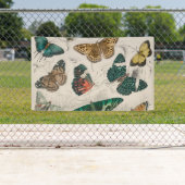 Vlinder Collectie Antiek Vlinders Spandoek (Insitu)