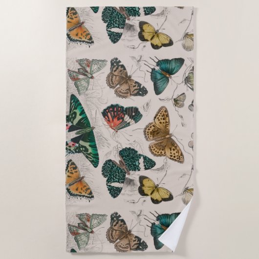 Vlinder Collectie Antiek Vlinders Strandlaken (Voorkant)