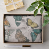 Vlinder Collectie Antiek Vlinders Tissuepapier (Geschenk)