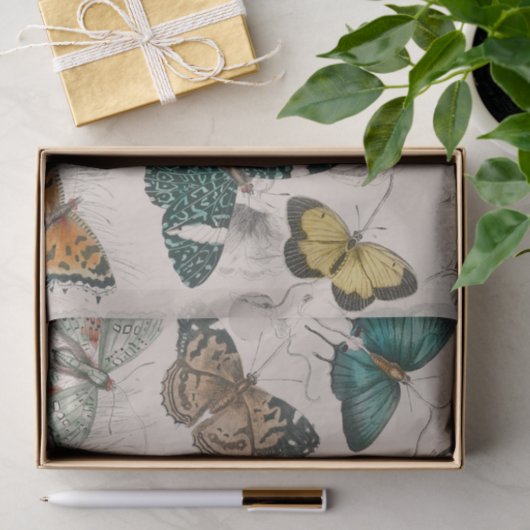 Vlinder Collectie Antiek Vlinders Tissuepapier (Geschenk)