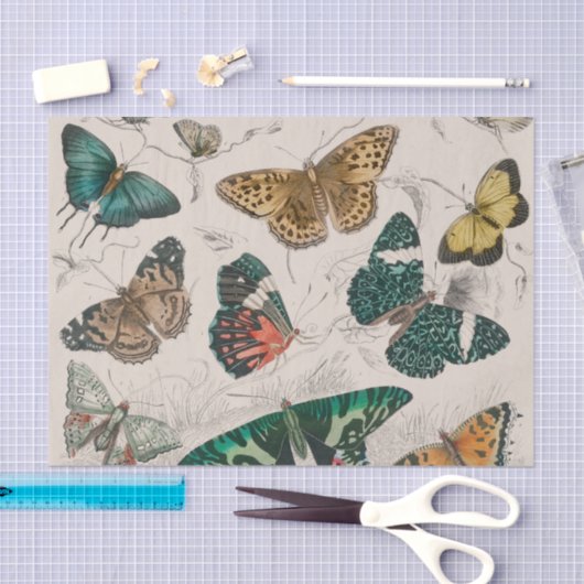 Vlinder Collectie Antiek Vlinders Tissuepapier (Craft)