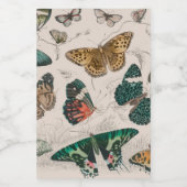 Vlinder Collectie Antiek Vlinders Voedselcontainer Etiket (Enkel label)