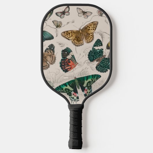 vlinder collectie antiek waterverf boter pickleball paddle (Achterkant)