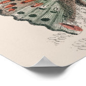 vlinder collectie antiek waterverf boter poster (Hoek)