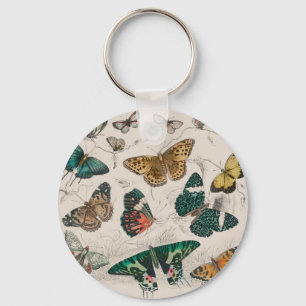 vlinder collectie antiek waterverf boter sleutelhanger