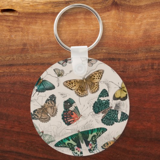 vlinder collectie antiek waterverf boter sleutelhanger (Voorkant)