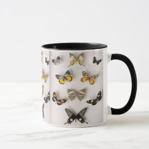 vlinder-collectie, ringermok mok