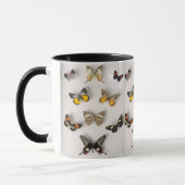vlinder-collectie, ringermok mok (Links)