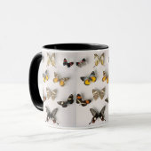 vlinder-collectie, ringermok mok (Voorkant links)