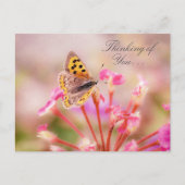 Vlinder denkt aan jou  briefkaart (Voorkant)